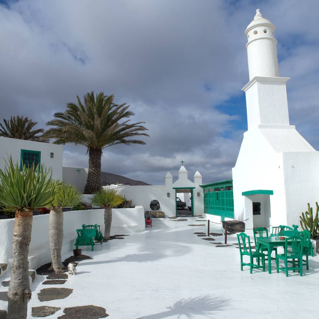 <p>Lanzarote, bianco e piante</p>